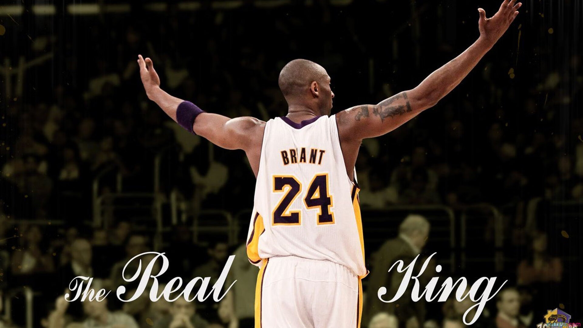 开云体育平台APP-钢铁巨兽统治赛场，冷刃独行侠险胜上海